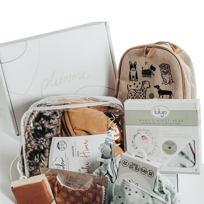 Boîte de démarrage Plumme Box