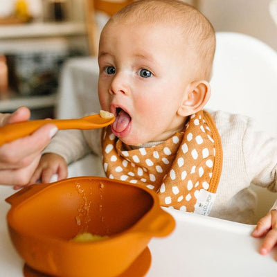 LOULOU LOLLIPOP Cuillère pour l'alimentation des nourrissons