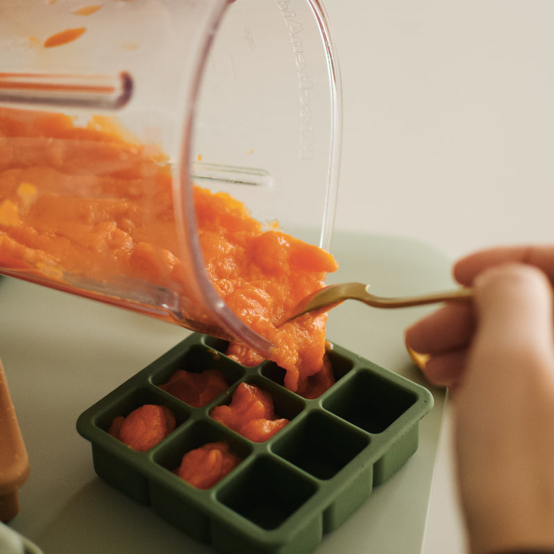 Minika | Food Freezer Tray - Plumme Box